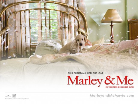 Marley_and_Me_Wallpaper_6_800.jpg